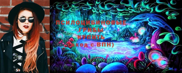 кокс Ельня