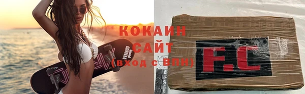 кокс Ельня