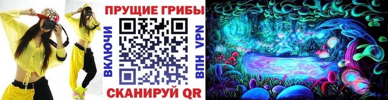 Псилоцибиновые грибы GOLDEN TEACHER  Купить где  Остров 